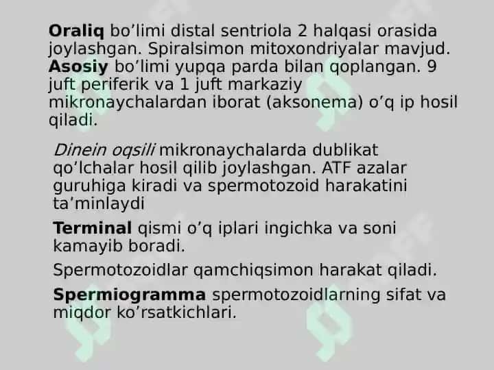 embriologiya jinsiy hujayralar uruglanish maydalanish 6
