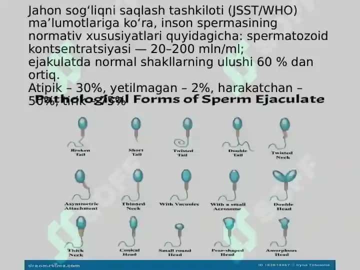 embriologiya jinsiy hujayralar uruglanish maydalanish 8