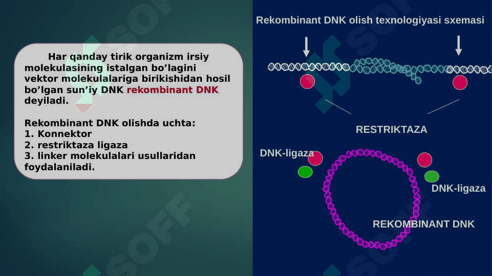 Rekombinant DNK olish texnologiyasi,
Usullari: konnektor, restriktaza ligaza va linker haqida taqdimot 6
