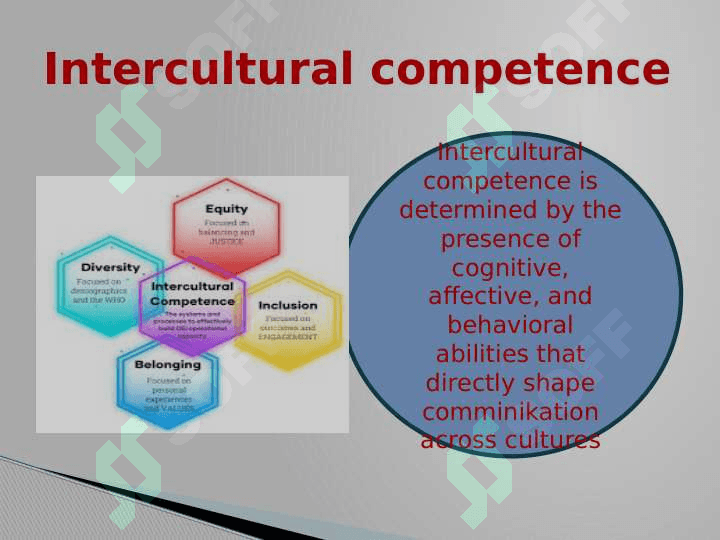 International cultural competences 4