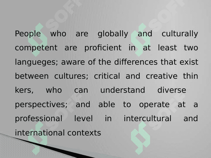 International cultural competences 6