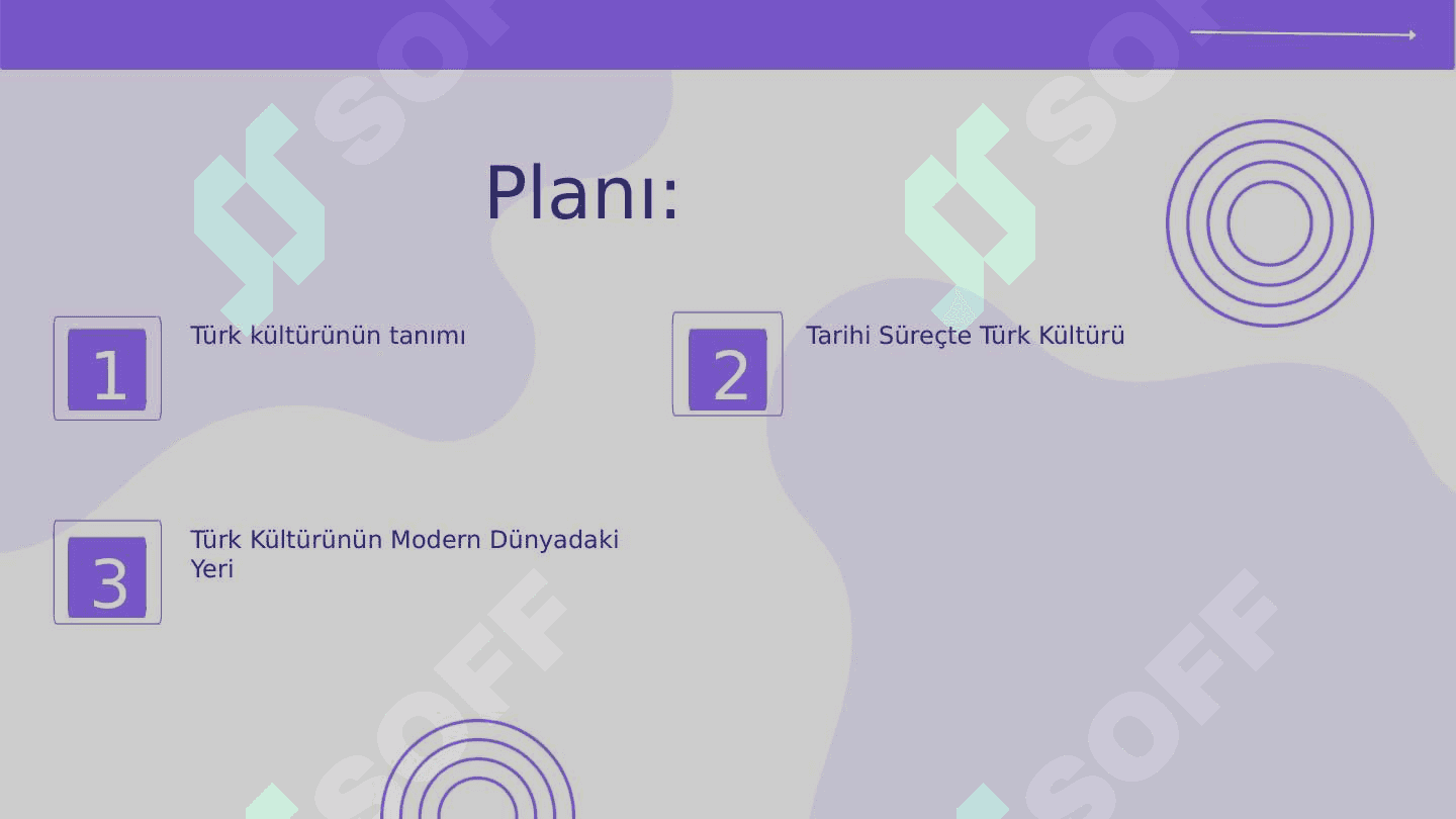 Türk kültürü hakkında 2