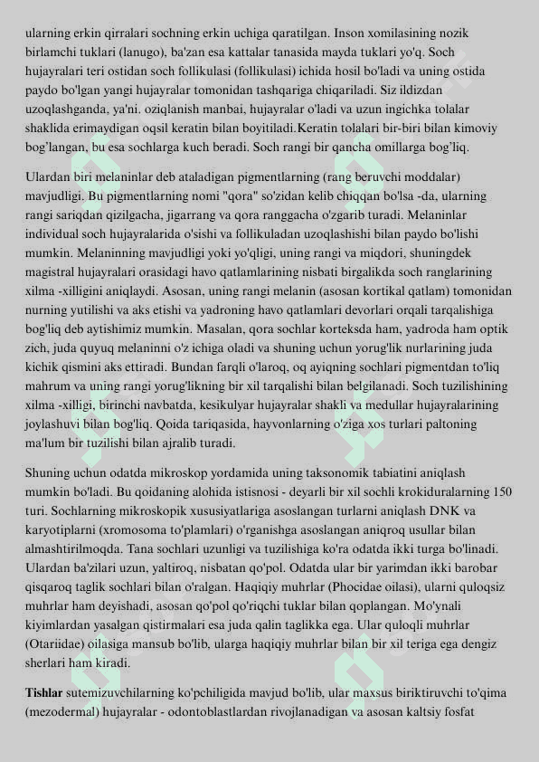 Kemiruvchilar, ularning turlari va ahamiyati 8