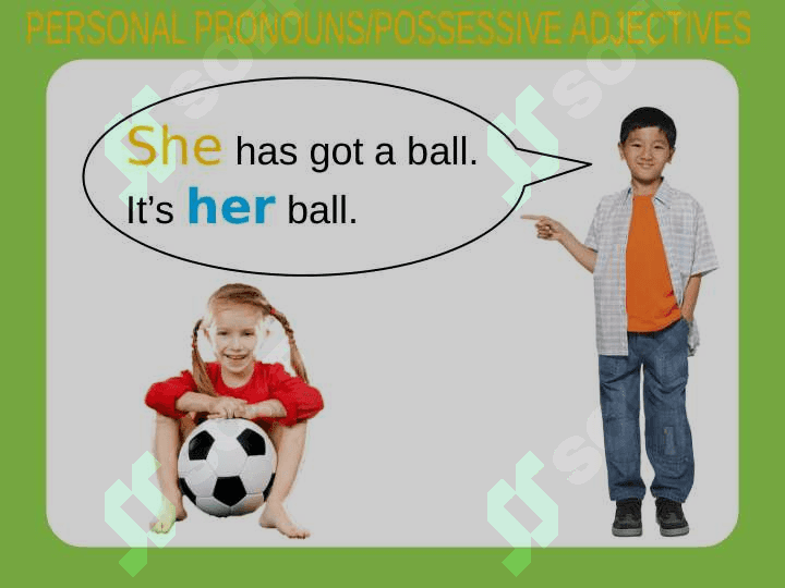 Possessive Adjectives 5