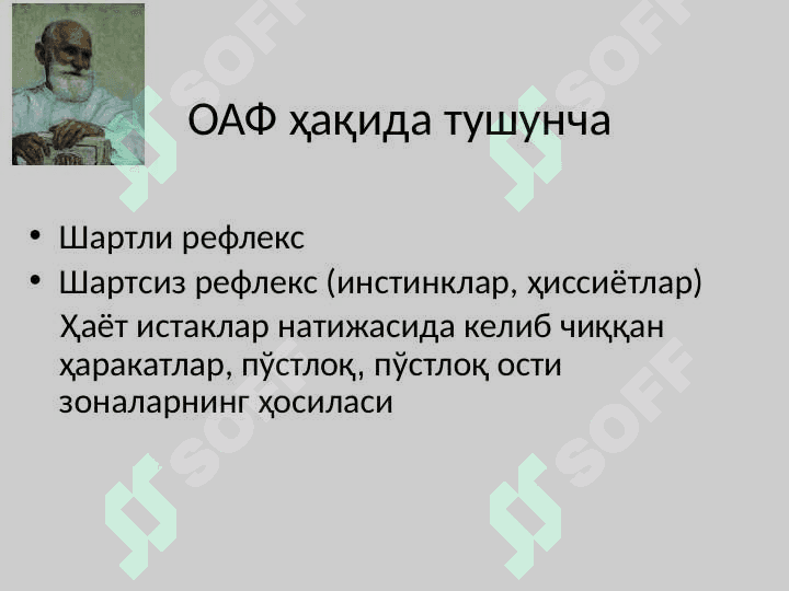 Oliy nerv faoliyati va uning yosh xususiyatlari 5