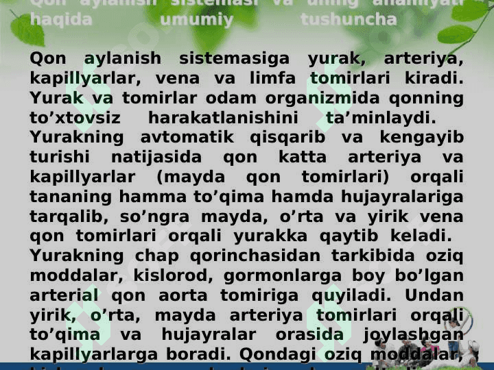 Qon aylanish tizimining anatomik fiziologik hususiyatlari 8