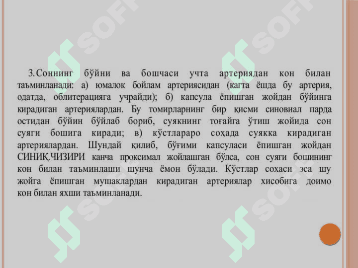 Son suyagi sinishi 3