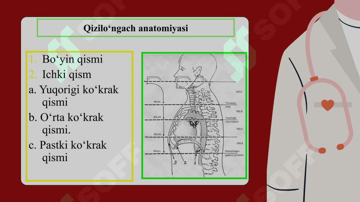 Qizilo'ngach kasalliklari 3