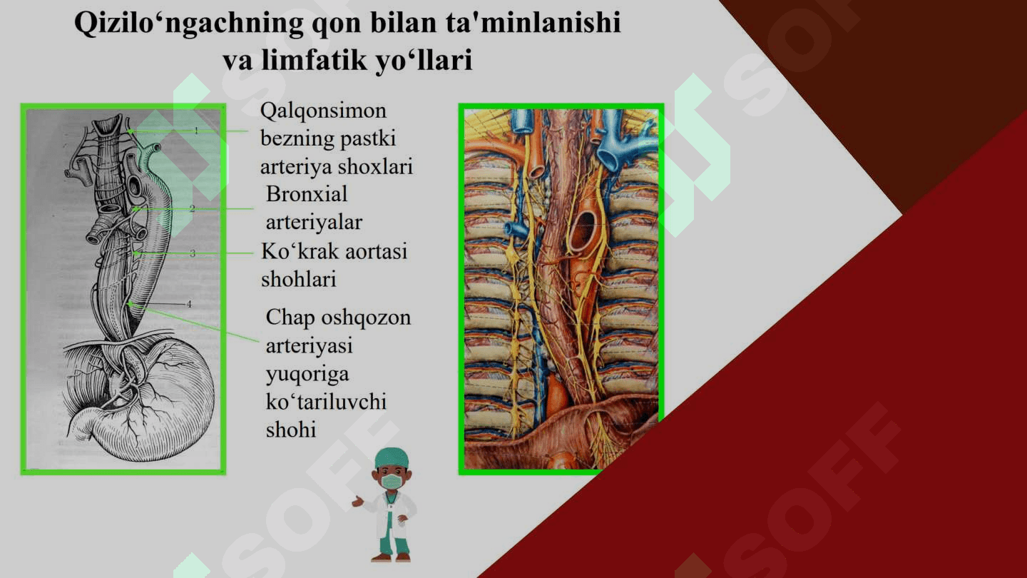 Qizilo'ngach kasalliklari 4