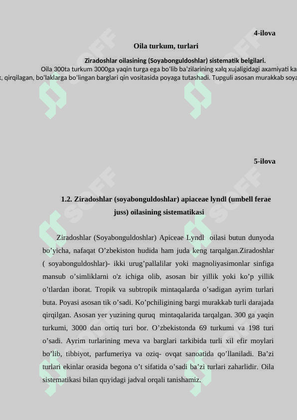 Ziranamolar qabilasi (araliyadoshlar, ziradoshlar) oilalarining umumiy tasnifi. 8