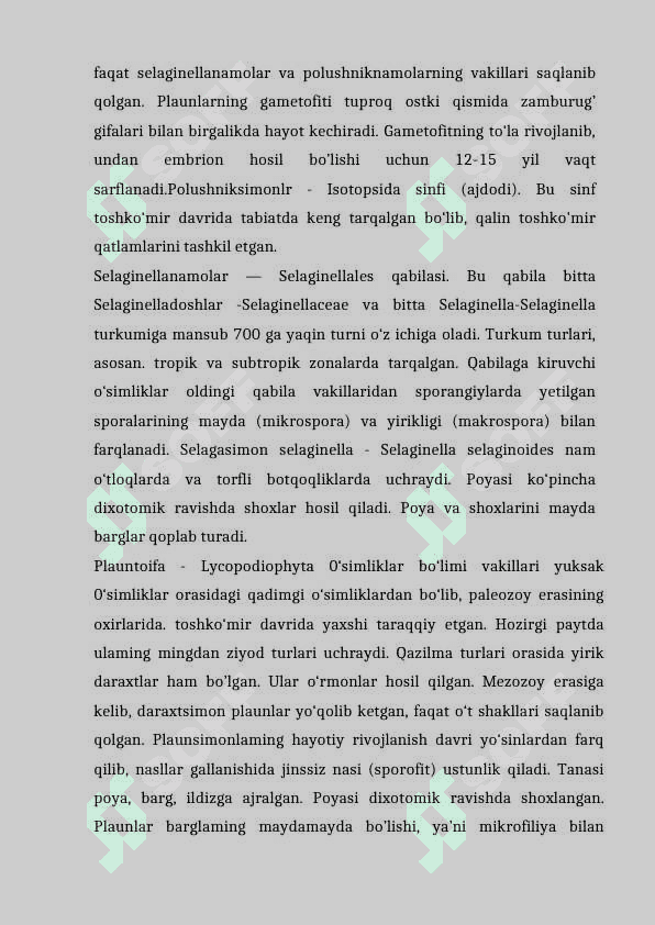 PLAUNTOIFA (lycopodiophyta) o’simliklar bo’limi evolyutsiyasi 4