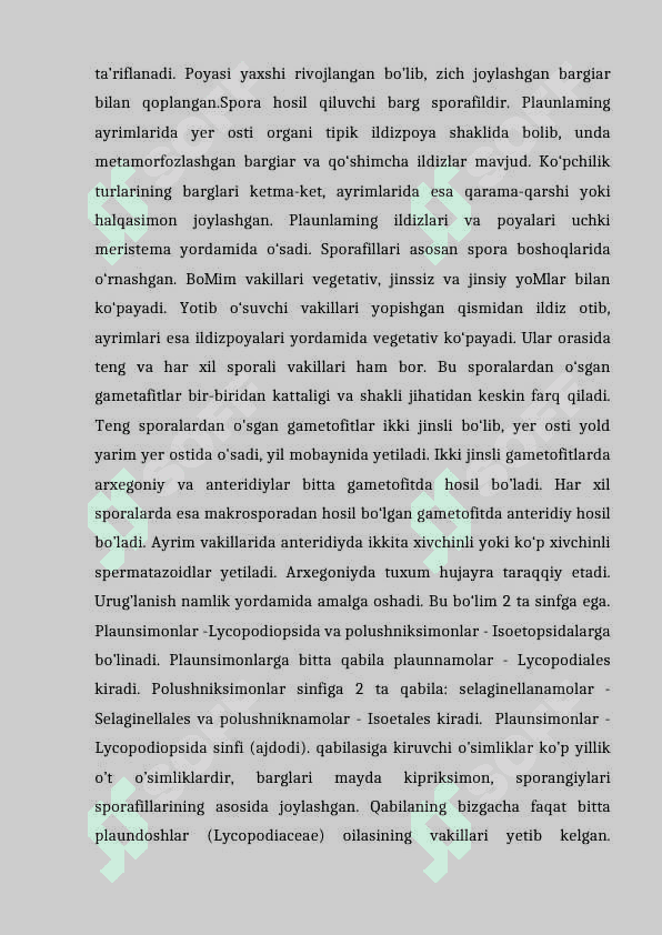 PLAUNTOIFA (lycopodiophyta) o’simliklar bo’limi evolyutsiyasi 5