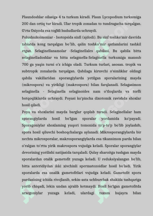 PLAUNTOIFA (lycopodiophyta) o’simliklar bo’limi evolyutsiyasi 6