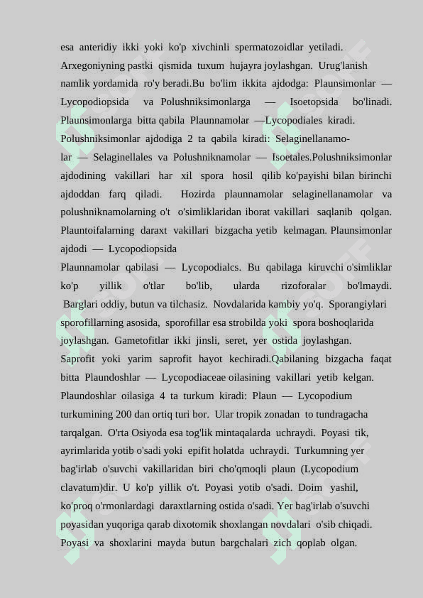 PLAUNTOIFA (lycopodiophyta) o’simliklar bo’limi evolyutsiyasi 8