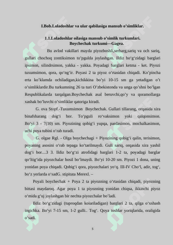 Lolanamolar qabilasi (savrinjondoshlar, gulsafsardoshlar, loladoshlar oilalari) 5