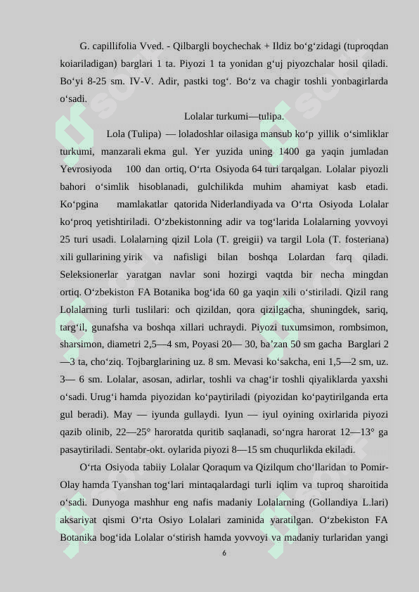 Lolanamolar qabilasi (savrinjondoshlar, gulsafsardoshlar, loladoshlar oilalari) 6