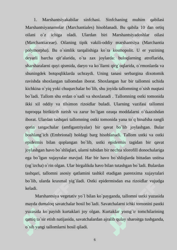 Yo'sintoifa (Moxtoifa) (Bryophyta) o'simliklar bo'limi, Marchantiopsida sinfi 6