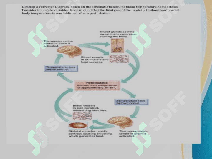 Pirogen moddalarning termoregulyatsiyadagi ahamiyati 5