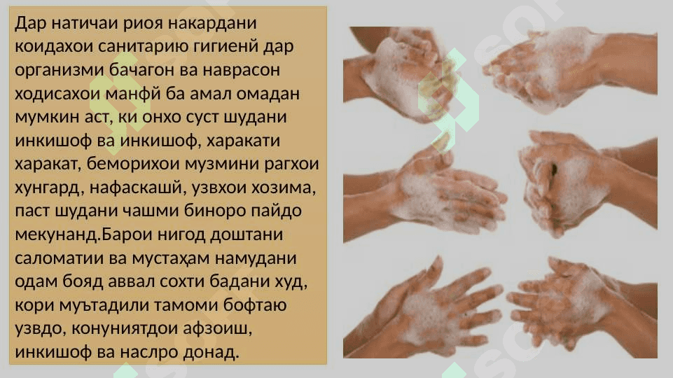 Инсон ва саломати ӯ 8