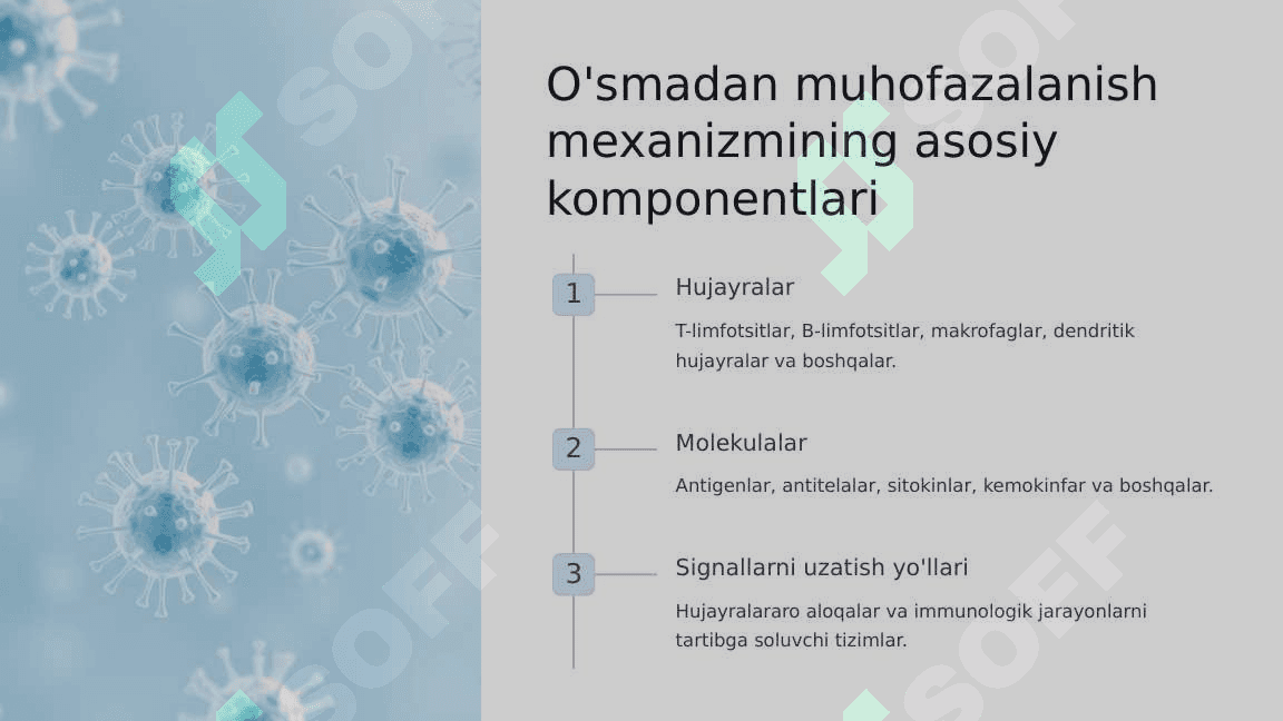 O'smadan muhofazalanishning immunomexanizmlari 4