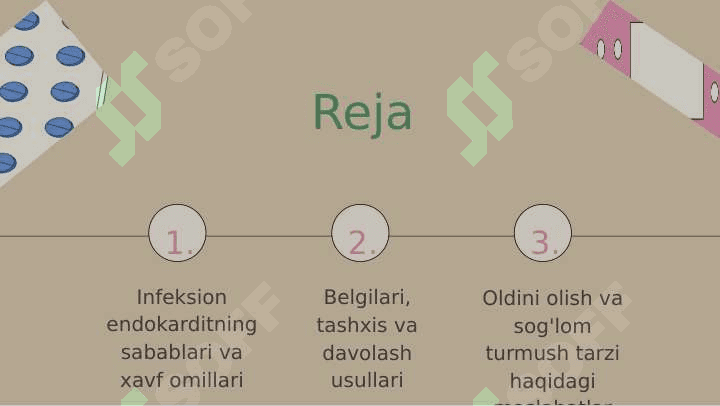 Infeksion endokardit 2