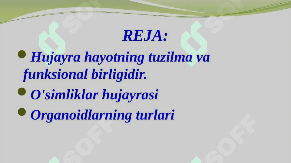 O‘simlik hujayrasi, organoidlarning tuzilishi, bajaradigan vazifalari va hujayrada kechadigan jarayonlar. 2