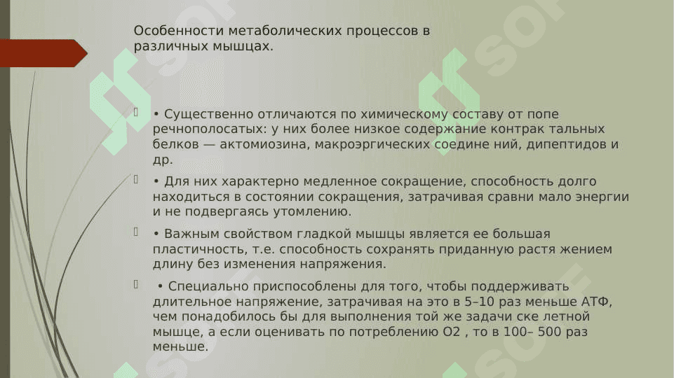 биохимия сердца и мышц. 7