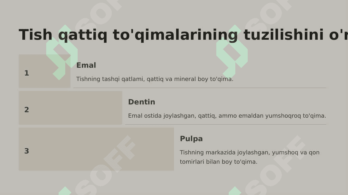 Tish qattiq  to'qimalarining  tuzilishi va  vazifalari. 3