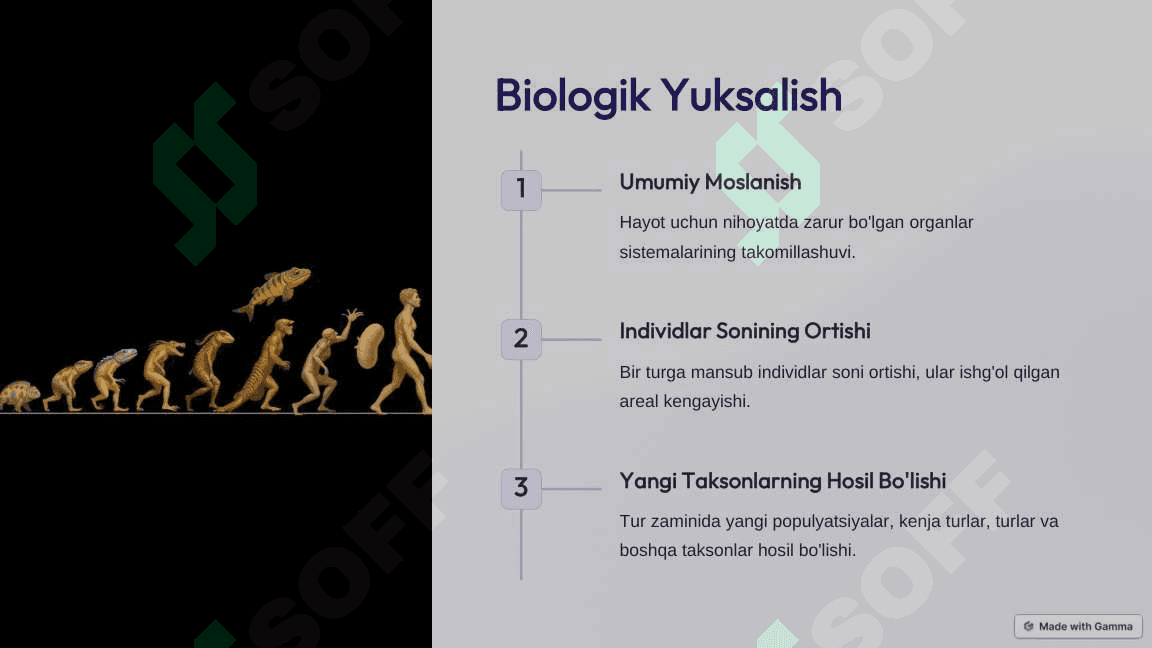 Evolutsion biologiya va biologik xilma-xillik 4