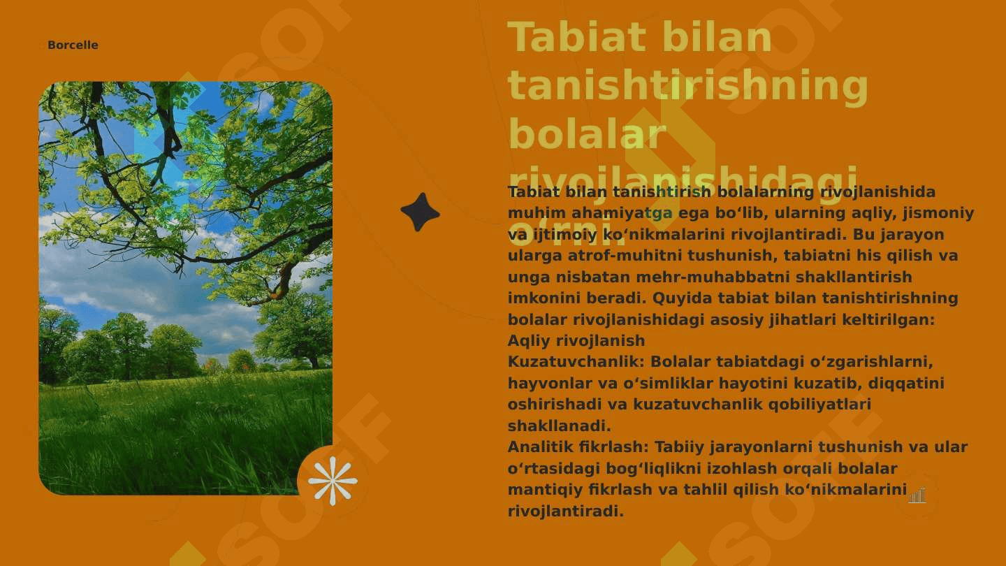 Bolalarni tabiat bilan tanishtirishda ekskursiya va sayrlarni tashkil etish haqida ma`lumot tayyorlash 4
