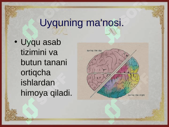 UYQU  VA  UNING   AHAMIYATI 3