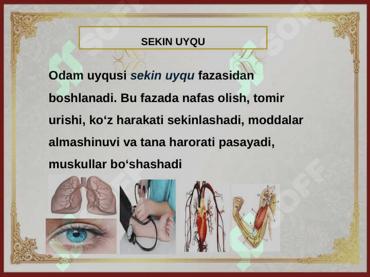 UYQU  VA  UNING   AHAMIYATI 8