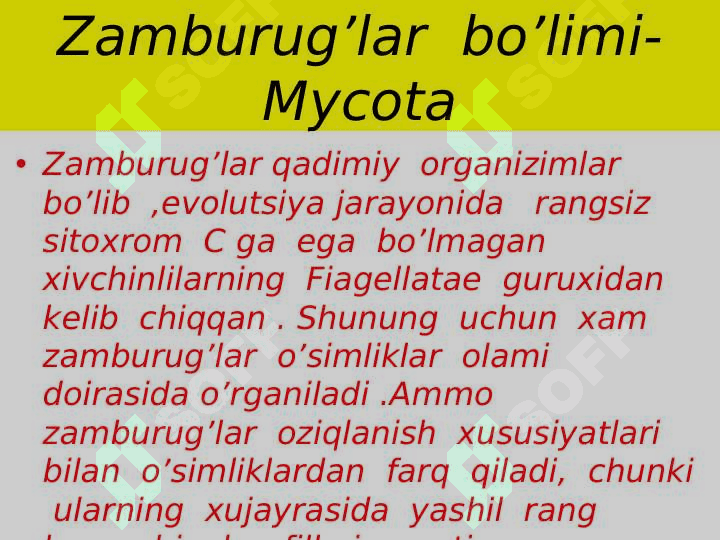 Xitridiomitsetsimonlar va zamburug'lar 2