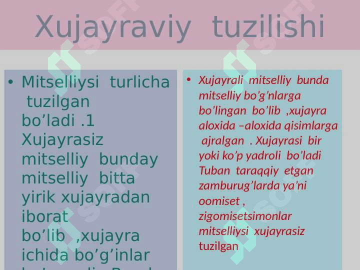 Xitridiomitsetsimonlar va zamburug'lar 4