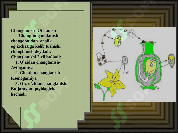 Changlanish jarayoni 2