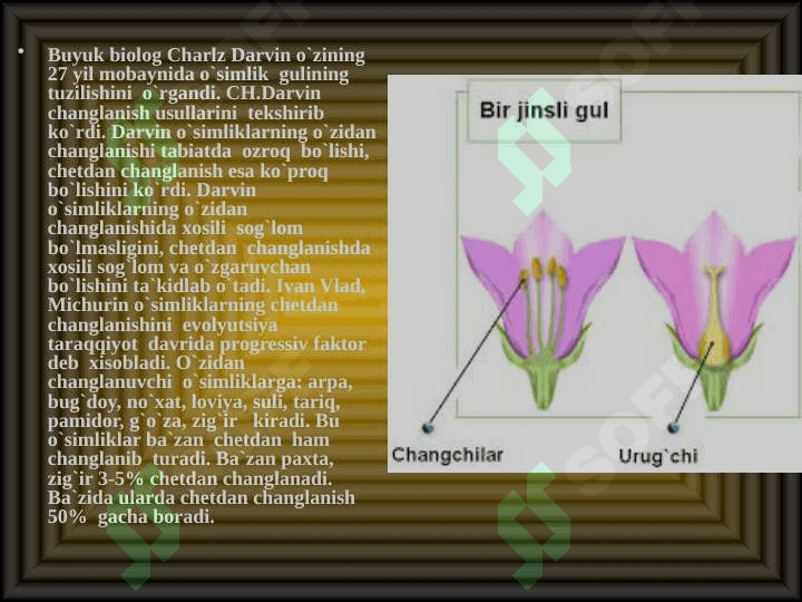 Changlanish jarayoni 4