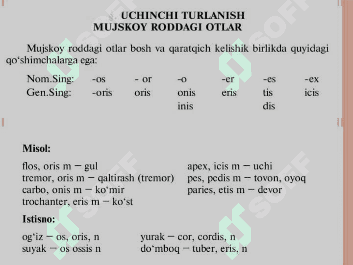 Otlarning uchinchi turlanishiga oid mashqlar ishlash 4
