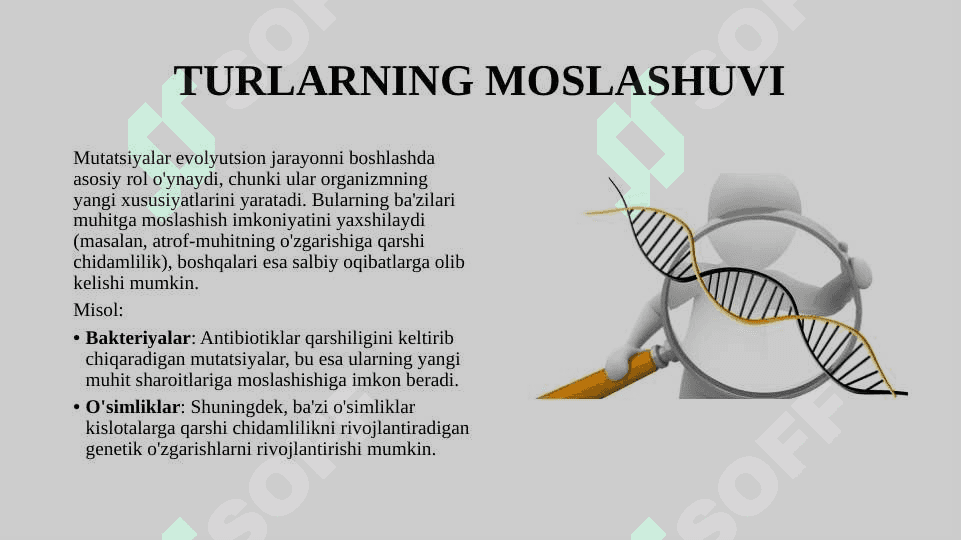 GEN MUTATSIYALARINING EVOLUTSION AHAMIYATI 3