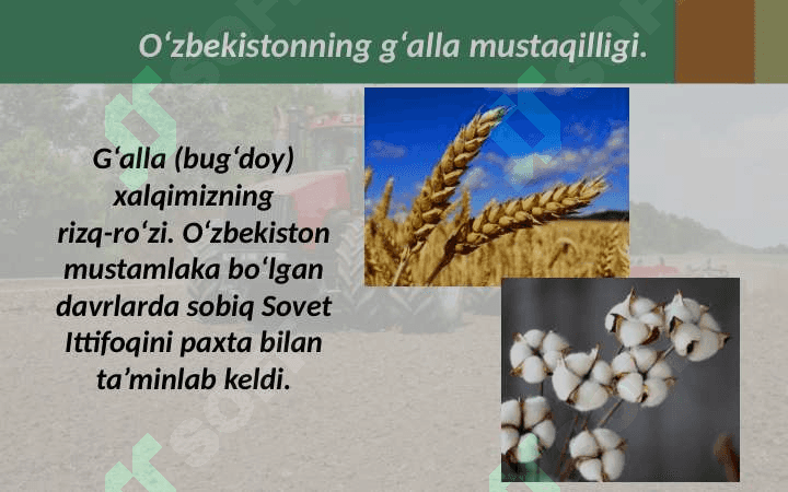 O'zbekiston iqtisodiyotidagi yutuqlar 2