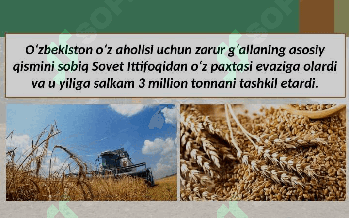 O'zbekiston iqtisodiyotidagi yutuqlar 3