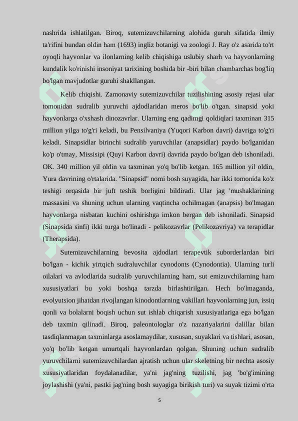 Sutemizuvchilar sinfi va ularning sistematikasi 5