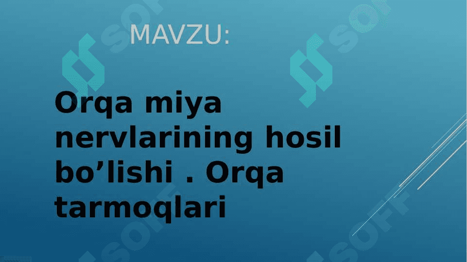 Orqa miya nervlarining hosil bo’lishi . Orqa tarmoqlari 2