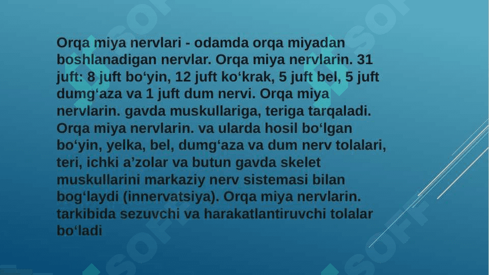 Orqa miya nervlarining hosil bo’lishi . Orqa tarmoqlari 3
