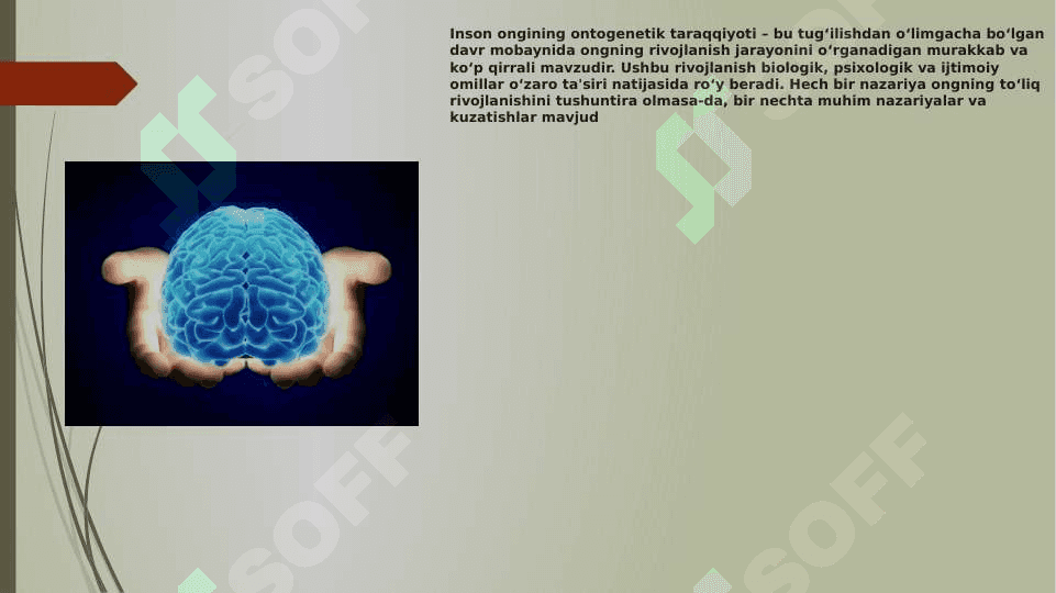 Inson ongining ontogenetik taraqqiyoti 3