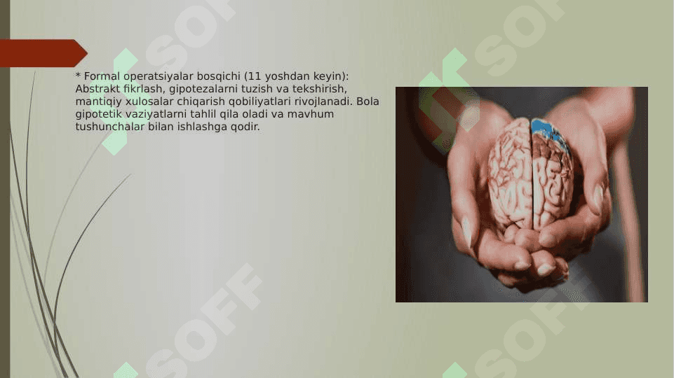 Inson ongining ontogenetik taraqqiyoti 8