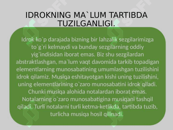 IDROK 7