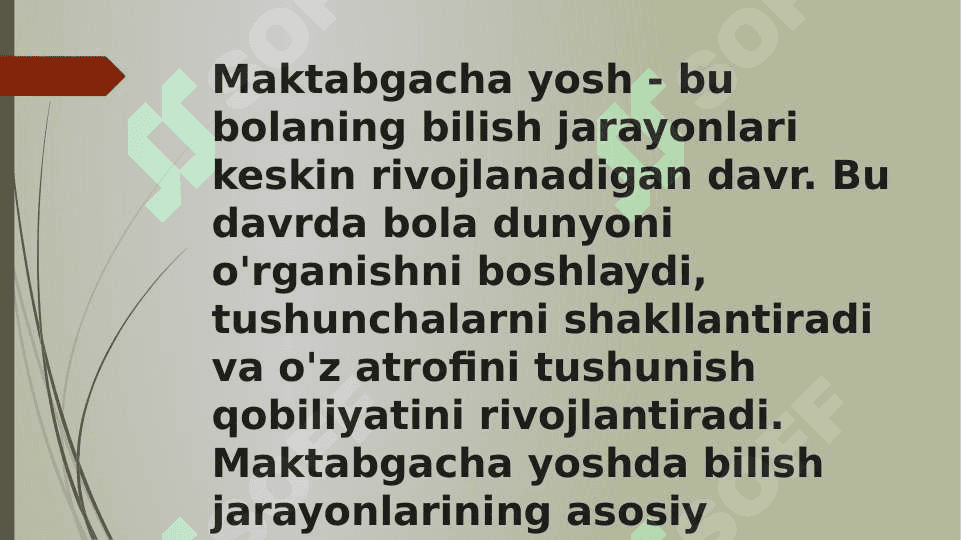 Maktabgacha yoshda bilish jarayonlari taraqqiyoti 2