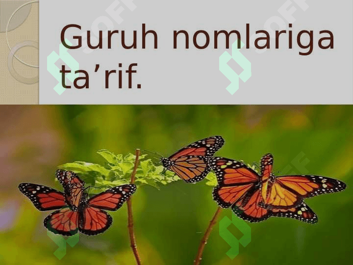 Hasharotlarning rivojlanishi va paydo bo’lishi dars ishlanma 6