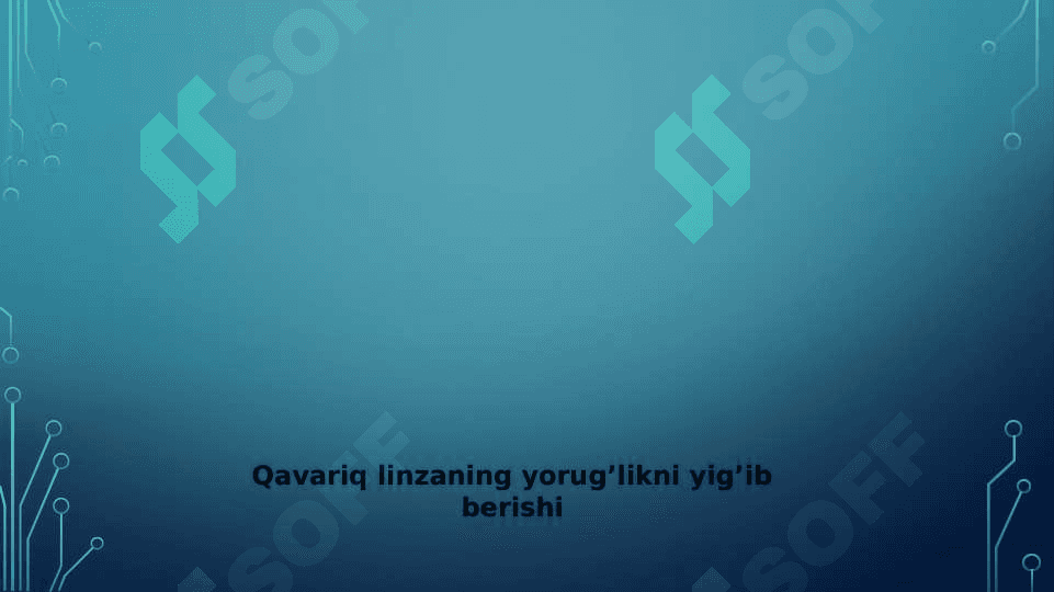 Linzalar va ularning turlari 3