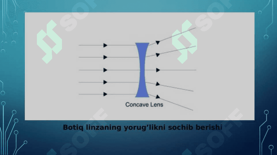 Linzalar va ularning turlari 4